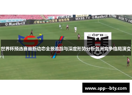 世界杯预选赛最新动态全景追踪与深度形势分析各洲竞争格局演变
